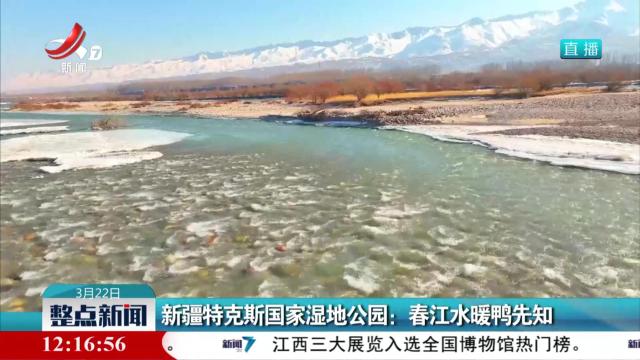 新疆特克斯国家湿地公园：春江水暖鸭先知