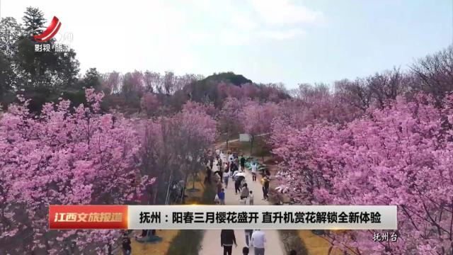 抚州：阳春三月樱花盛开 直升机赏花解锁全新体验