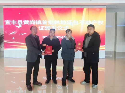 小林站大作为 宜丰县林业工作站积极推进深化集体林权制度改革