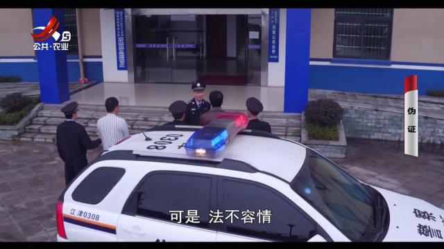 乡村栏目剧场20250302 伪证