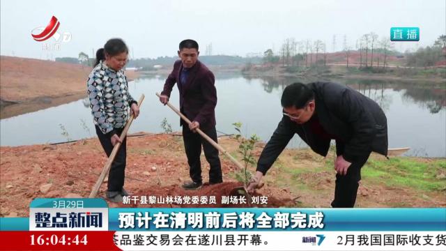 不负春光 共植青绿