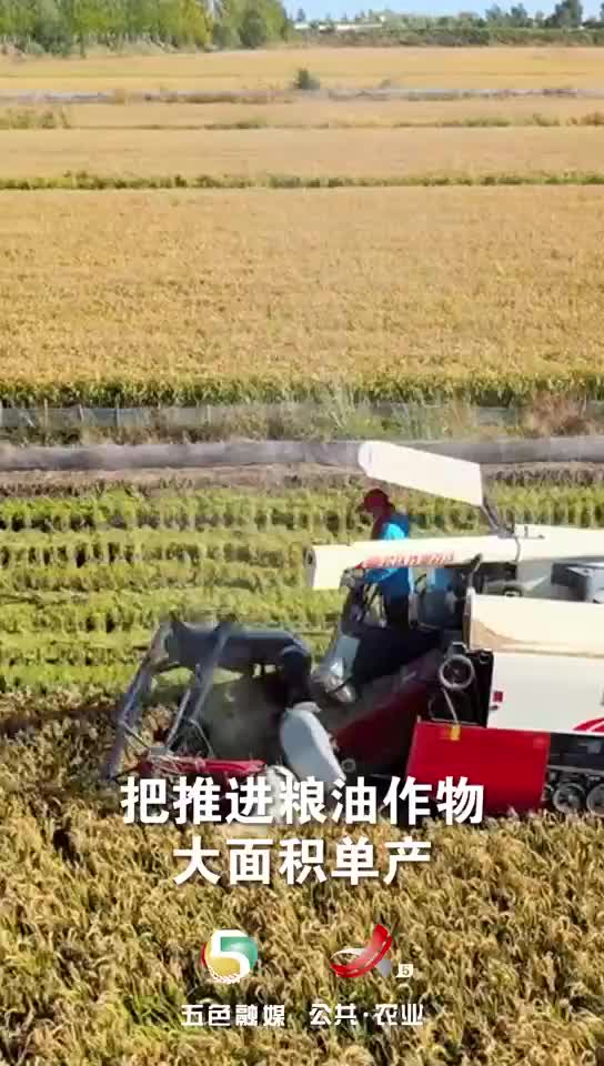 江西12年连丰密码，430亿斤粮仓背后的“硬核操作”！