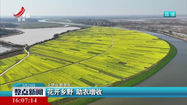 花开乡野 助农增收