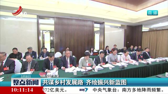 【两会好声音】共谋乡村发展路 齐绘振兴新蓝图
