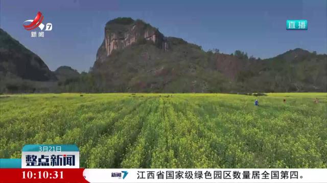 整点新闻20250321 10:00
