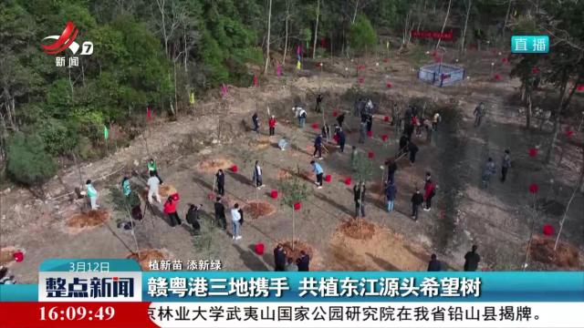 【植新苗 添新绿】赣粤港三地携手 共植东江源头希望树