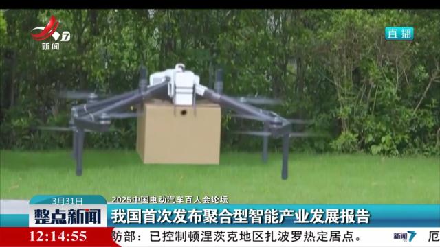 【2025中国电动汽车百人会论坛】我国首次发布聚合型智能产业发展报告