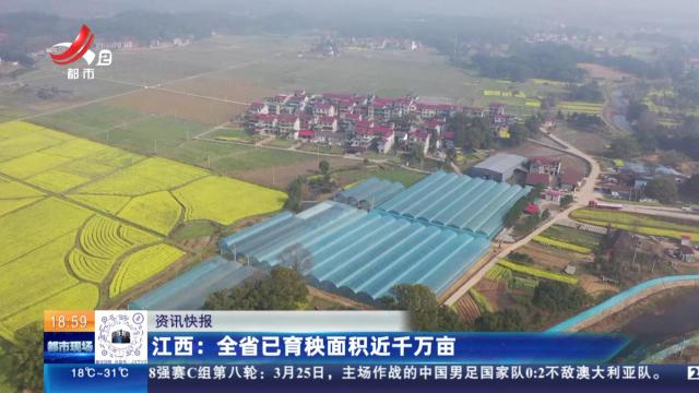 江西：全省已育秧面积近千万亩