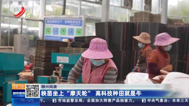 赣州南康：秧苗坐上“摩天轮” 高科技种田就是牛