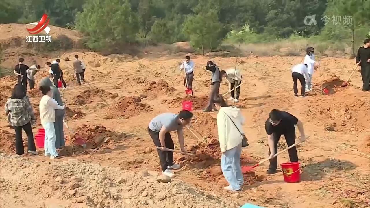 江西各地持续开展植树造林活动