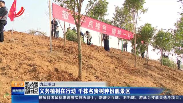 九江湖口：义务植树在行动 千株名贵树种扮靓景区