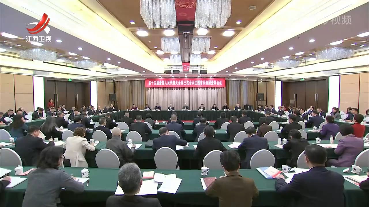 十四届全国人大三次会议江西代表团举行全体会议 推选尹弘为团长 叶建春等为副团长