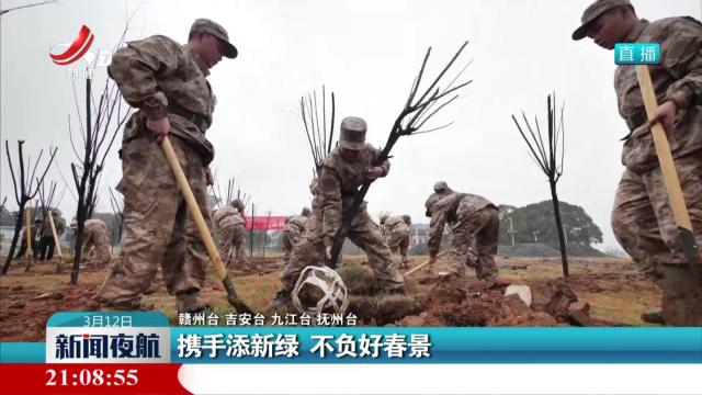 携手添新绿 不负好春景