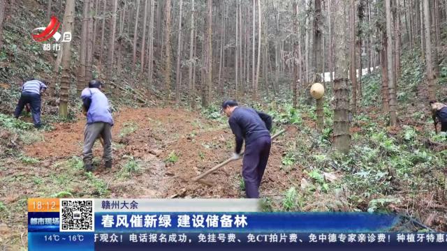 赣州大余：春风催新绿 建设储备林