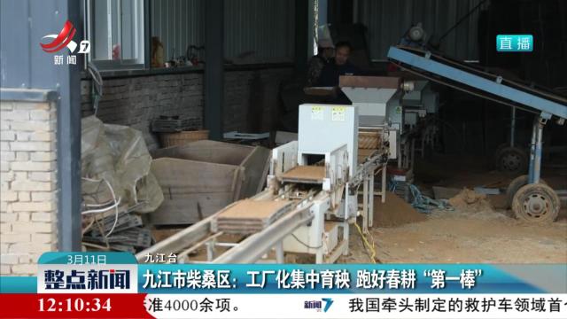 九江市柴桑区：工厂化集中育秧 跑好春耕“第一棒”