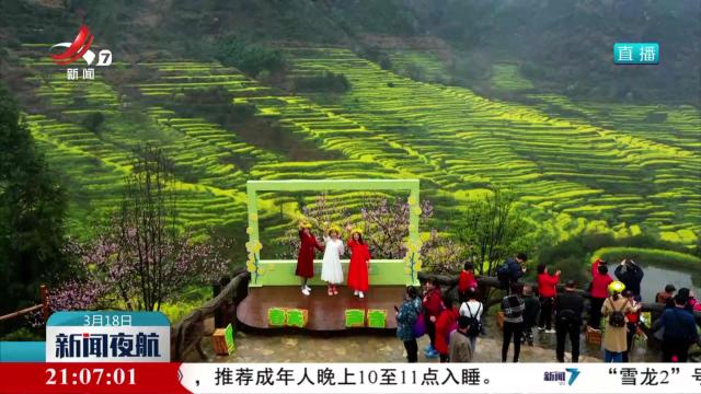 今年省委一号文件：两条底线 两大抓手 两大动力