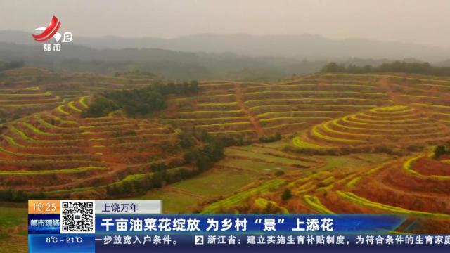 都市现场20250317