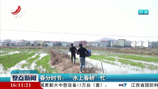 春分时节：“水上春耕”忙