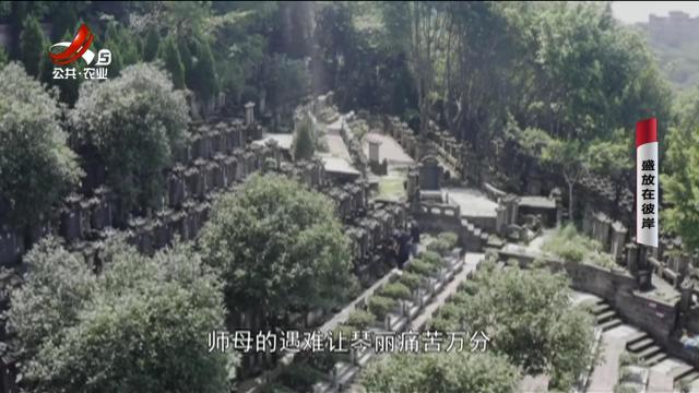 乡村栏目剧场20250330 盛放在彼岸