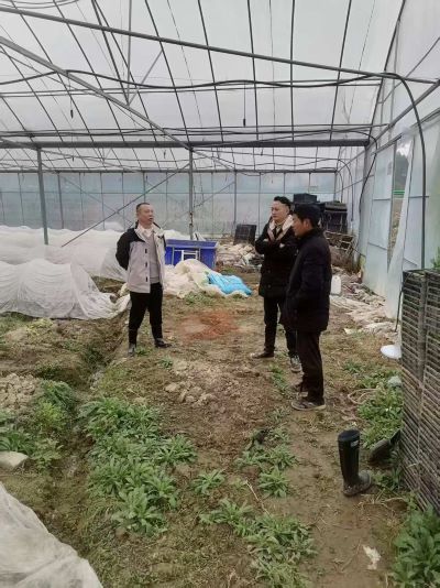 宜春市袁州区三阳镇政协助力备耕春耕