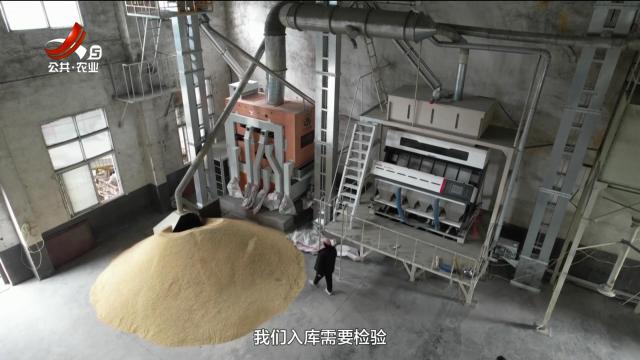 三农头条20250311