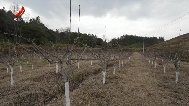 新闻晚高峰20250304