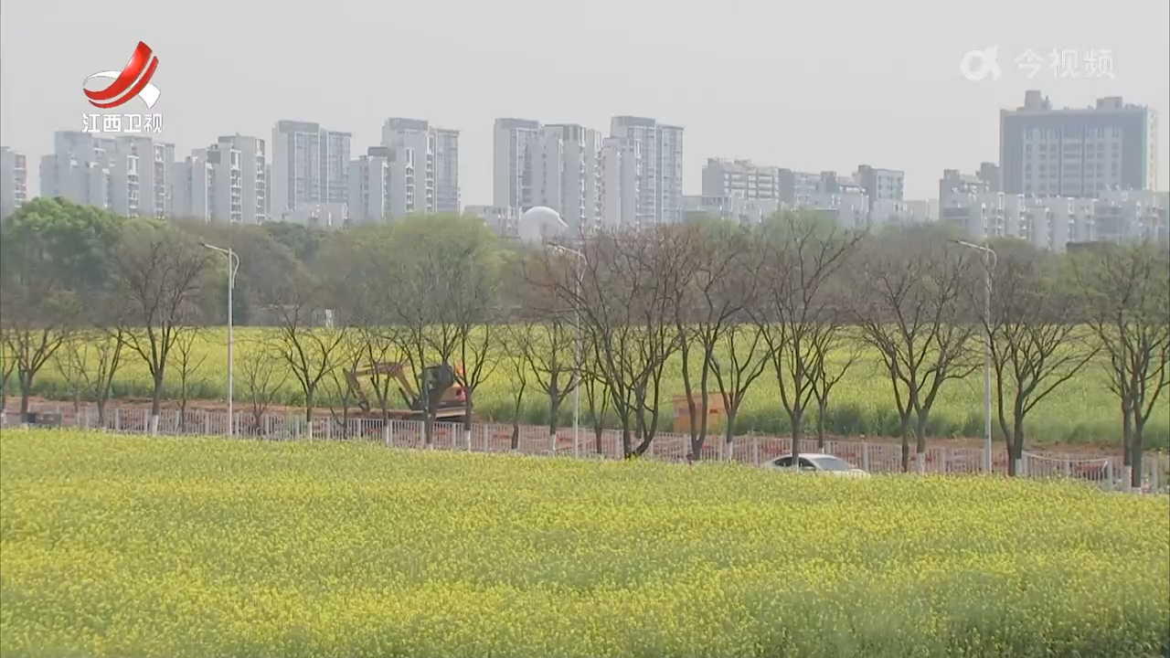 2025年全国网络名人看南昌西湖活动启动