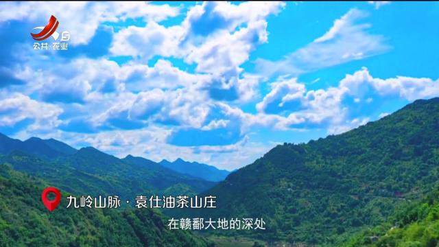 美丽江西在行动20250330 国保之泽 油香九岭