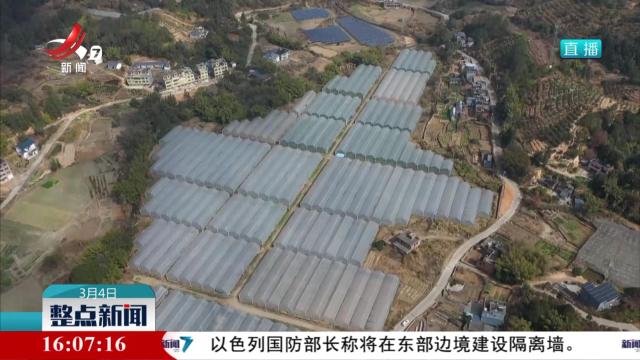 整点新闻20250304 16：00