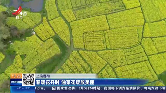 上饶鄱阳：春暖花开时 油菜花绽放美丽