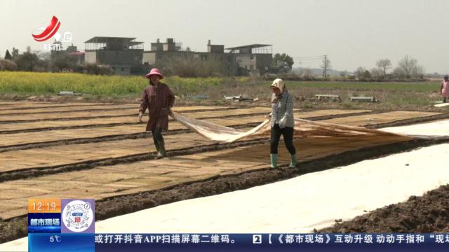 江西早稻育秧全面展开