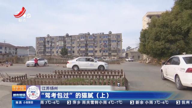 江苏扬州：“驾考包过”的猫腻