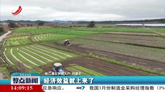 整点新闻20250331 14:00