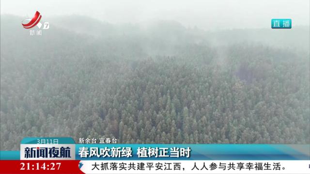 春风吹新绿 植树正当时