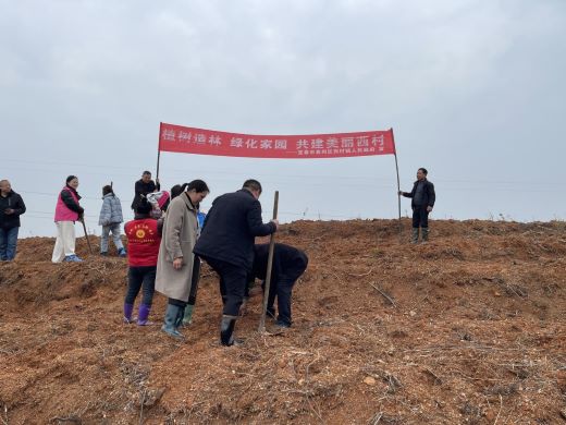 植树造林 绿化家园——宜春市袁州区西村镇开展义务植树活动