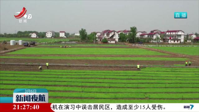 【干出好年景 拼出好气象】工厂化育秧“育”新机
