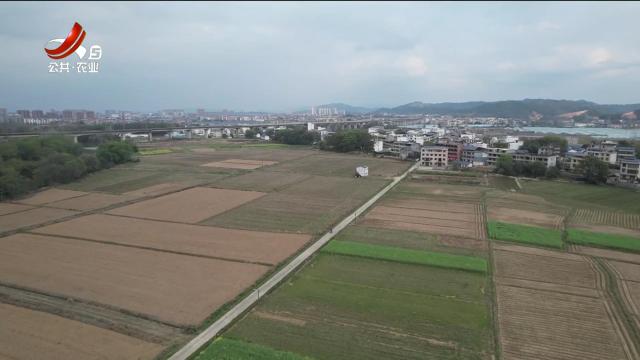 三农头条20250325