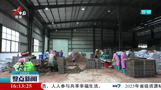 整点新闻20250309 16:00