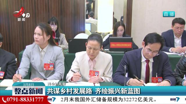 【两会好声音】共谋乡村发展路 齐绘振兴新蓝图