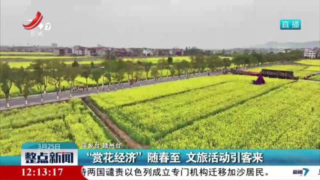“赏花经济”随春至 文旅活动引客来