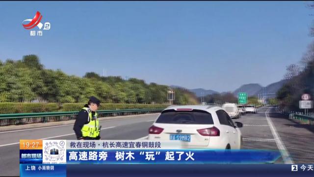 【救在现场】杭长高速宜春铜鼓段：高速路旁 树木“玩”起了火