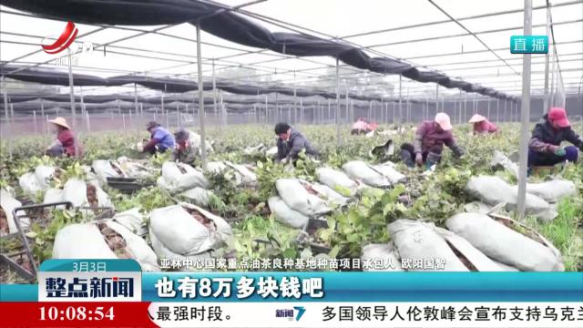 三月春意浓 各地“植”希望 “种”未来