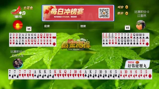 谁是赢家20250329