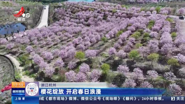 浙江杭州：樱花绽放 开启春日浪漫