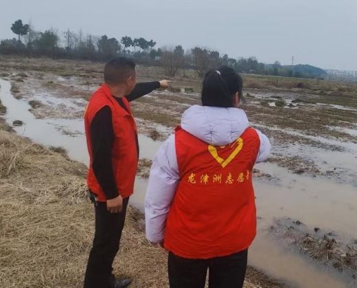 丰城市龙津洲街道：人勤春来早 备耕干劲足