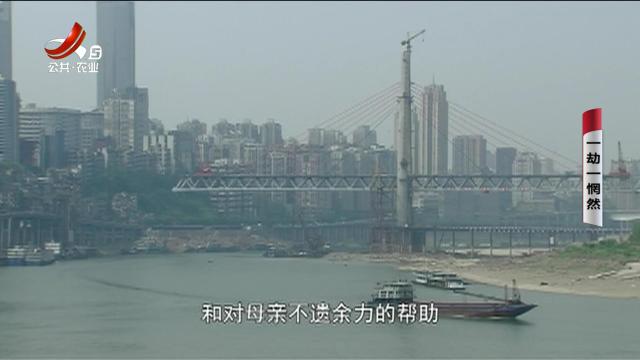 乡村栏目剧场20250311 一劫一惘然