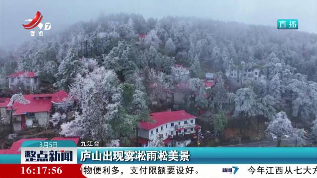 庐山出现雾凇雨凇美景