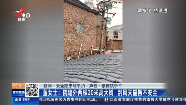 【赣问·安全隐患随手拍·声音·景德镇乐平】董女士：院墙外两棵20米高大树 刮风天摇摆不安全
