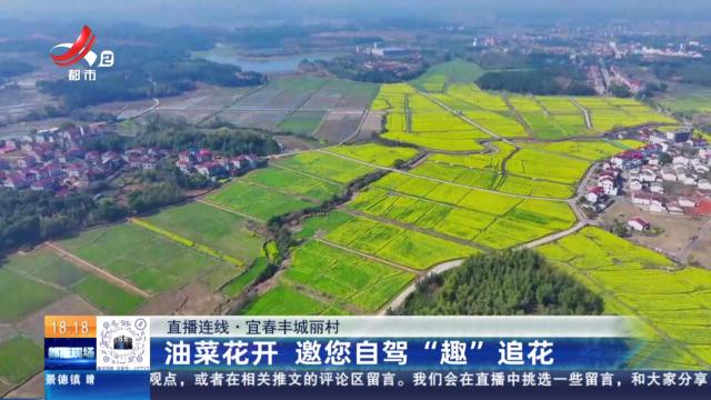 【直播连线】宜春丰城丽村：油菜花开 邀您自驾“趣”追花