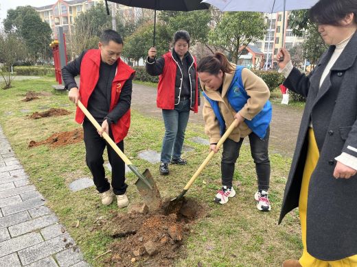 播种绿色希望 收获美好明天 宜春市袁州区下浦街道开展植树活动